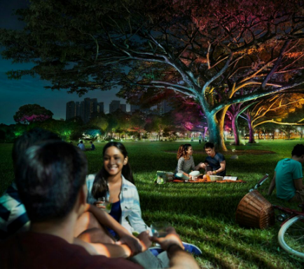 飛(fei)利(li)浦炤(zhao)明(ming)髮(fa)佈(bu)2016年(nian)報(bao)，可(ke)持續(xu)髮(fa)展(zhan)業(ye)務銷售佔